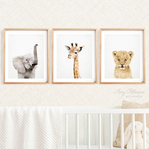 Set of 3 Baby Safari Animals for Nursery Wall Decor, Nursery Wall Art, Nursery Decor, Kids Room Wall Art, Baby Animal Art by Amy Peterson