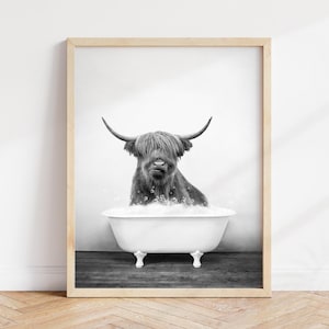 Highland Cow in Bathtub Print: Rustic Bathroom Wall Art