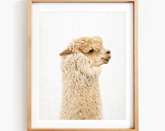 Alpaca Art Print, Alpaca Portrait, Alpaca Wall Art, Animal Art by Amy Peterson