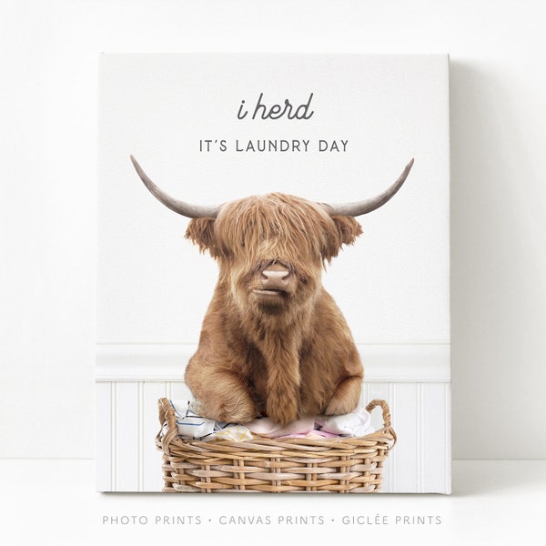 Highland Cow "I Herd It's Laundry Day", Laundry Wall Art, Laundry Wall Decor, Laundry Animal, Unframed Art Print by Amy Peterson