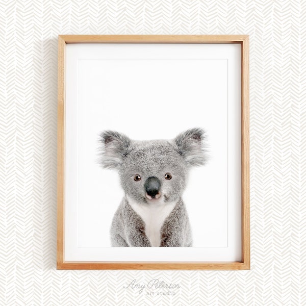 Koala Nursery Etsy
