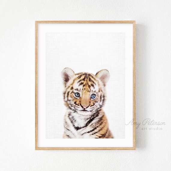 Download Other Art Tiger Cub Paint By Number Color Canvas Textured Print Reproduction Art