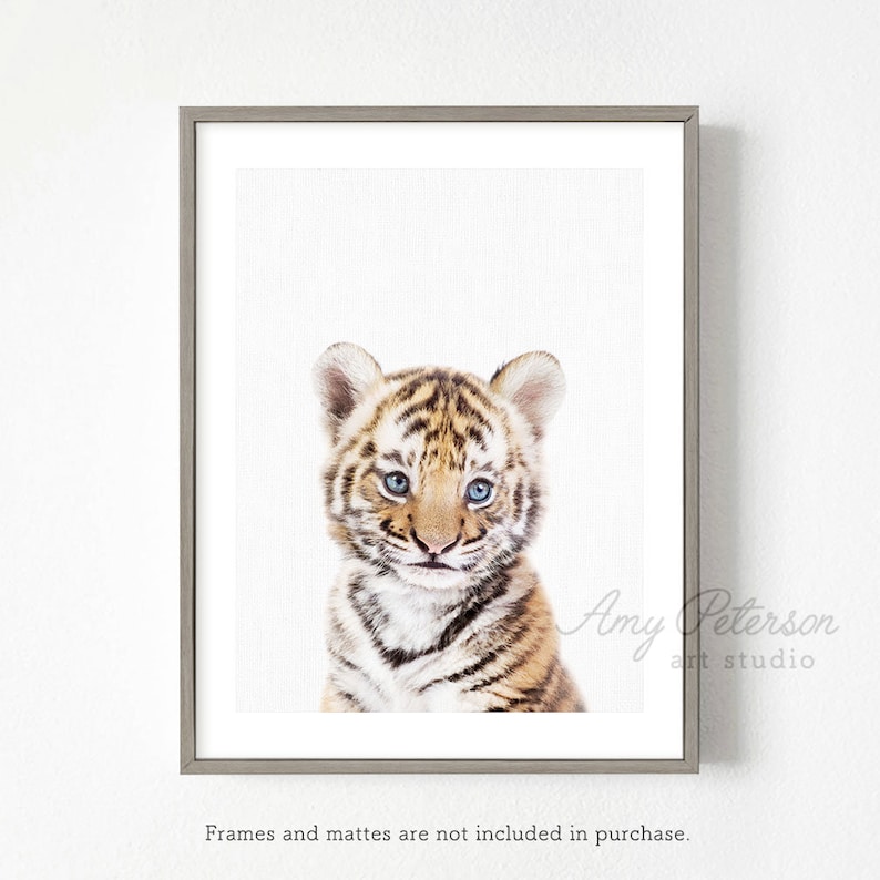 Baby Tiger Cub Safari Baby Animal for Nursery Art Safari Etsy