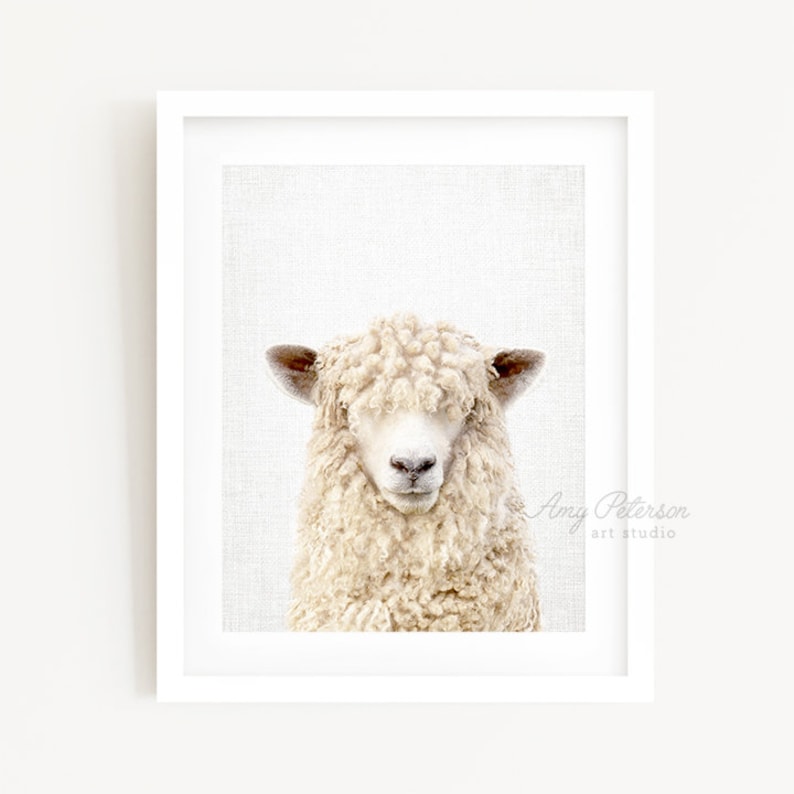 Sheep Photo Print Farm Animal Wall Art Sheep Portrait Sheep - Etsy