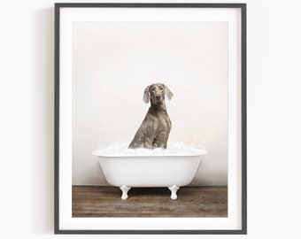 Weimaraner Dog in a Vintage Bathtub, Dog Taking Bath, Dog Art, Bathroom Wall Art, Unframed Print, Animal Art by Amy Peterson