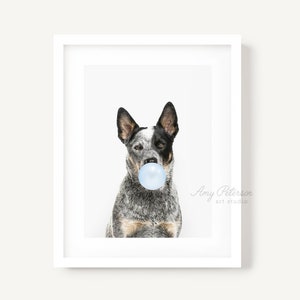 Cattle Dog Blowing Bubble Gum, Dog Art, Dog Portrait, Dog Wall Art, Unframed Print, Animal Art by Amy Peterson