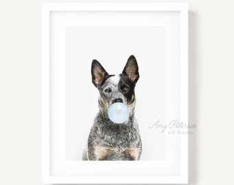 Cattle Dog Blowing Bubble Gum, Dog Art, Dog Portrait, Dog Wall Art, Unframed Print, Animal Art by Amy Peterson