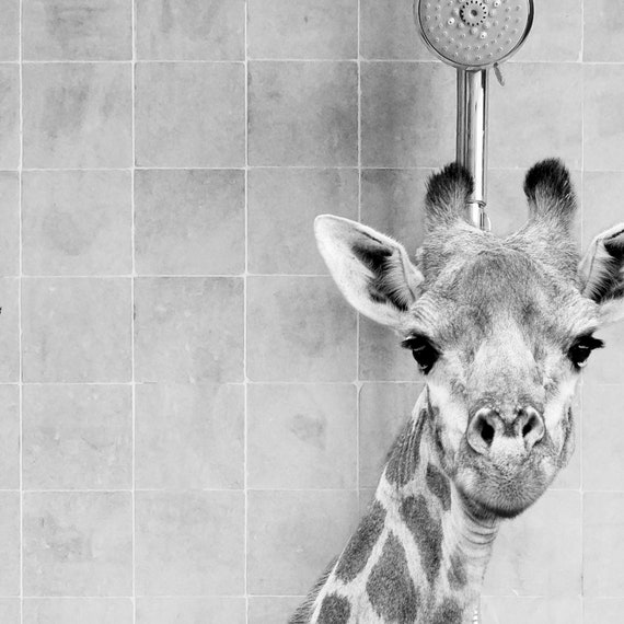 giraffe art black and white