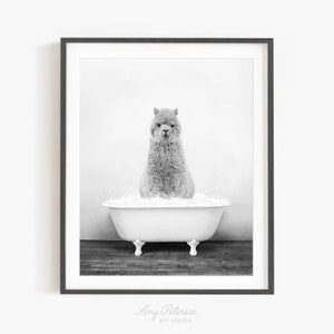 Alpaca in Vintage Bathtub, Rustic Bath Style in Black and White, Bathroom Wall Art, Unframed Print, Animal Art by Amy Peterson