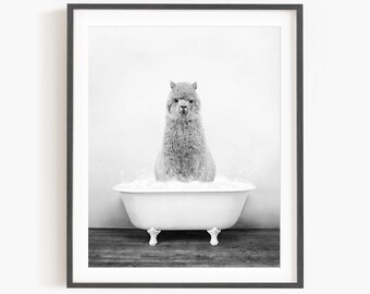 Alpaca in Vintage Bathtub, Rustic Bath Style in Black and White, Bathroom Wall Art, Unframed Print, Animal Art by Amy Peterson