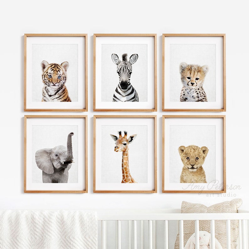 Safari Baby Animals For Nursery Wall Art Animal Set Decor Shipped Of 6 By Amy Peterson