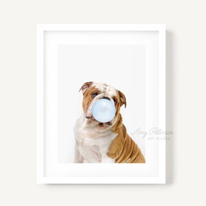 English Bulldog Dog Blowing Bubble Gum, Dog Art, Dog Portrait, Dog Wall Art, Unframed Print, Animal Art by Amy Peterson