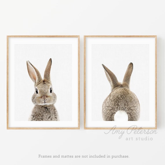 Bunny Front & Back Set of 2 Photo Prints Bunny Art Woodland Etsy