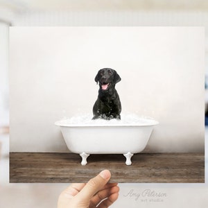 Black Labrador Dog in a Vintage Bathtub, Dog Taking Bath, Dog Art, Bathroom Wall Art, Unframed Print, Animal Art by Amy Peterson image 3