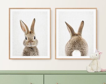 Set of 2 Prints, Bunny Front and Back, Woodland Decor, Baby Animal Art for Nursery, Unframed Animal Art Prints by Amy Peterson