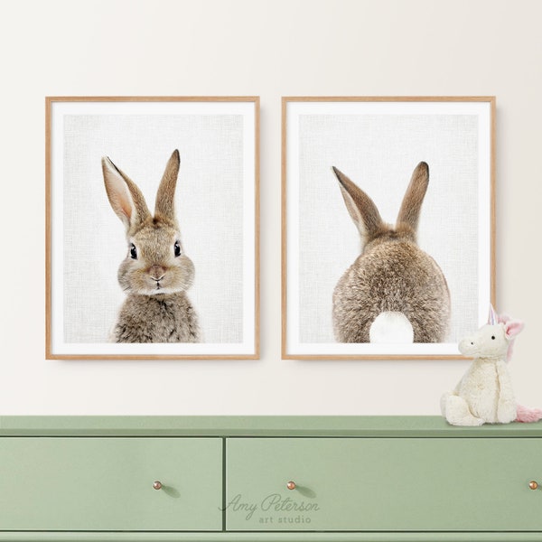 Set of 2 Prints, Bunny Front and Back, Woodland Decor, Baby Animal Art for Nursery, Unframed Animal Art Prints by Amy Peterson