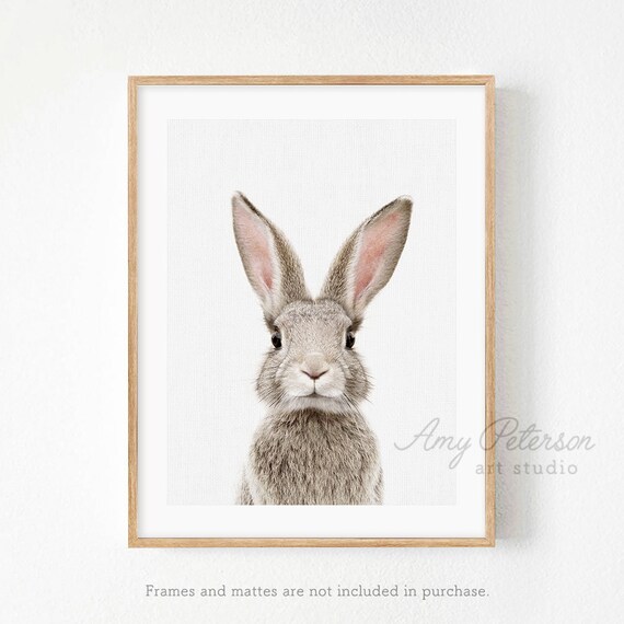 Female Bunny Print as Seen in Homegoods Baby Animal Print for Etsy