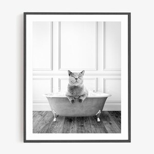 Cat in a Vintage Bathtub, Traditional Bath Style BW, Animal Bathroom Art, Bathroom Wall Art, Animal Art by Amy Peterson