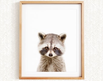 Baby Raccoon, Nursery Art, Baby Animal Nursery Decor, Unframed Print, Baby Animal Wall Art by Amy Peterson