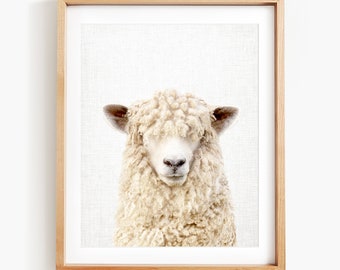 Sheep Photo Print, Farm Animal Wall Art, Sheep Portrait, Sheep Wall Art, Farm Animal Art by Amy Peterson