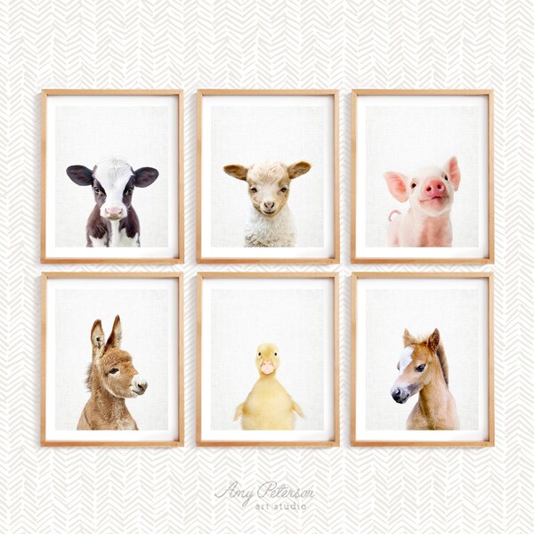 Set of 6 Baby Farm Animals for Nursery Wall Art, Nursery Farm Animals, Farm Nursery Decor, Unframed Animal Art Print by Amy Peterson