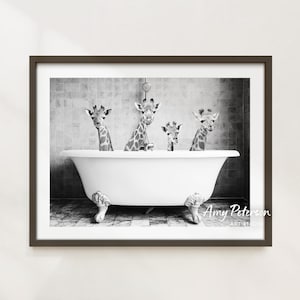 Four Giraffes in a Bath, Black and White Bathroom Wall Art, Baby Giraffe, Animal Art by Amy Peterson