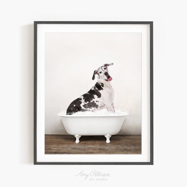 Great Dane Dog in a Vintage Bathtub, Dog Taking Bath, Dog Art, Bathroom Wall Art, Unframed Print, Animal Art by Amy Peterson