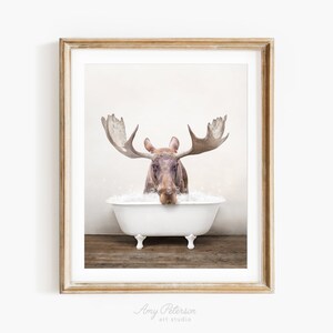 Moose in a Vintage Bathtub, Rustic Bath Style, Moose in Tub, Bathroom Wall Art, Unframed Print, Animal Art by Amy Peterson