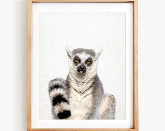 Lemur Print, Portrait of a Lemur Sticking Out Tongue, Lemur Wall Art, Animal Wall Art by Amy Peterson