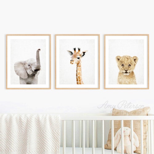 Set of 3 Baby Safari Animals for Nursery Wall Decor Nursery - Etsy Canada Set of 3 Baby Safari Animals for Nursery Wall Decor Nursery - Etsy Canada