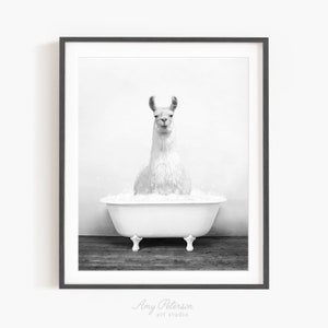 Llama in a Vintage Bathtub, Rustic Bath Style in Black and White, Bathroom Wall Art, Unframed Print, Animal Art by Amy Peterson image 1