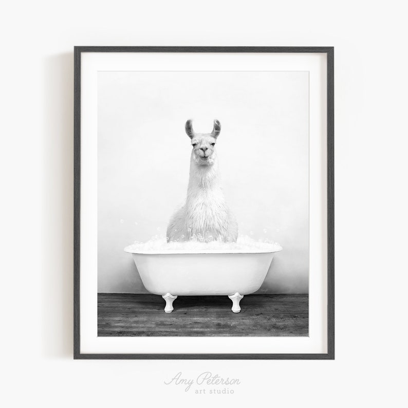 Llama in a Vintage Bathtub, Rustic Bath Style in Black and White, Bathroom Wall Art, Unframed Print, Animal Art by Amy Peterson image 1