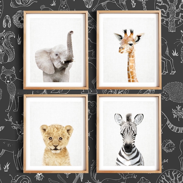 Set of 4 Baby Safari Animals for Nursery Decor, Safari Nursery, Kids Room Art, Baby Animal Art by Amy Peterson