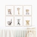 Baby Safari Animals for Nursery Animal Wall Art, Nursery Decor,  Ready-to-frame Print Set of 6 Art by Amy Peterson 
