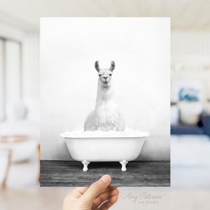 Llama in a Vintage Bathtub, Rustic Bath Style in Black and White, Bathroom Wall Art, Unframed Print, Animal Art by Amy Peterson image 2