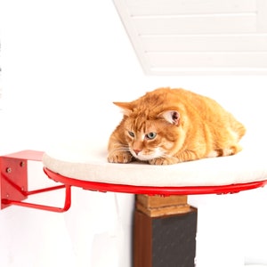 Round Cat Shelf, Cat Shelves For Wall, Cat Shelf Wall Mount, Modern Cat Shelf, Cat Tree, Cat Perch, Cat Bed, Modern Cat Furniture, Cat Wall