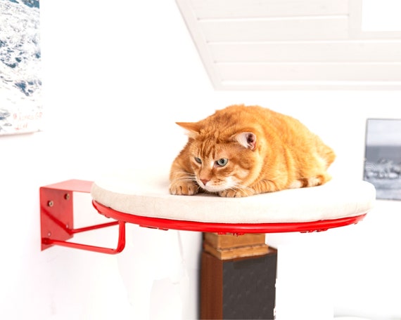 Round Cat Shelf Cat Shelves for Wall Cat Shelf Wall Mount Modern Cat Shelf Cat Tree Cat Perch Cat Bed Modern Cat Furniture Cat Wall Etsy