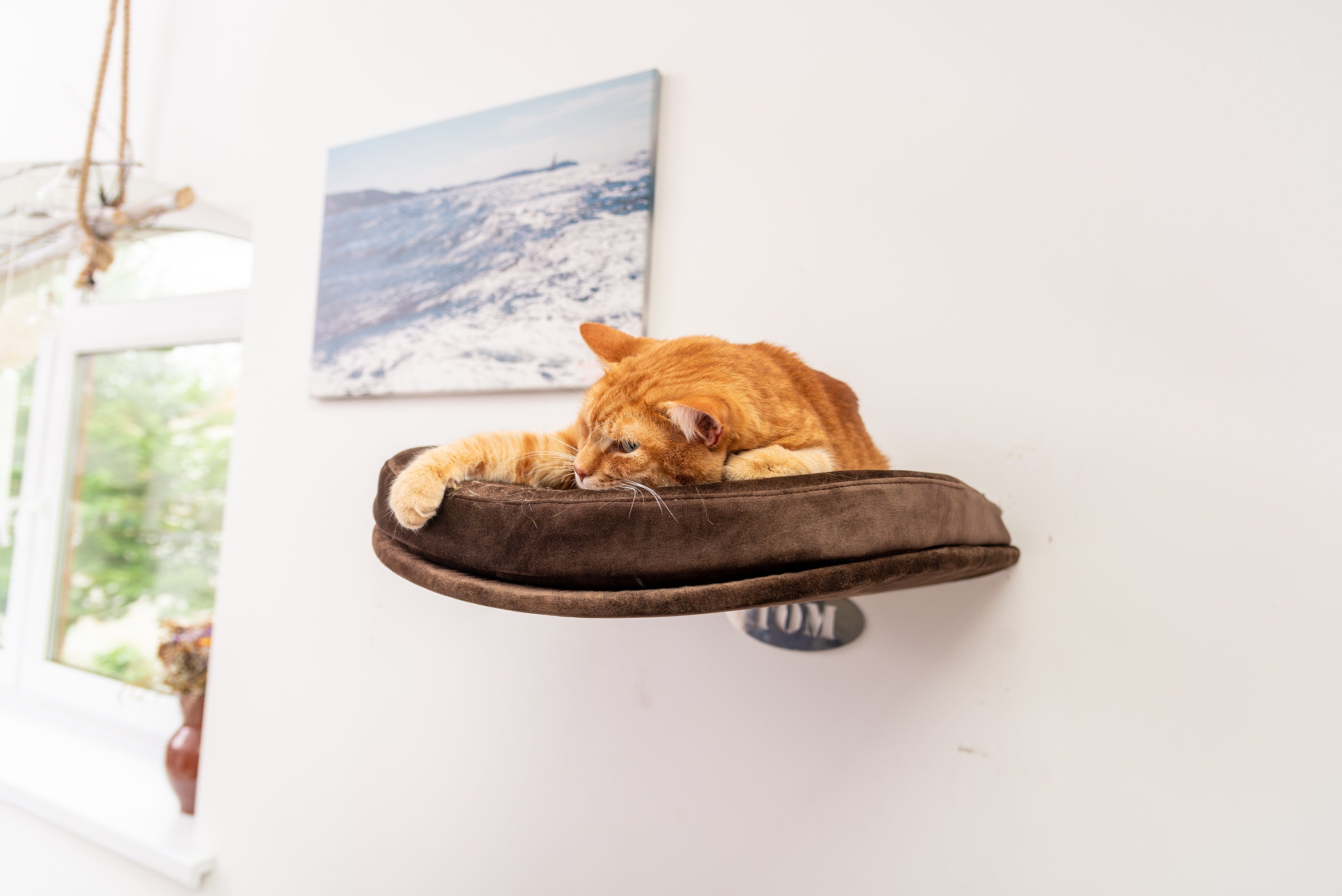 Cat Shelves for Wall Cat Shelf Wall Mount Cat Tree Cat Perch Etsy