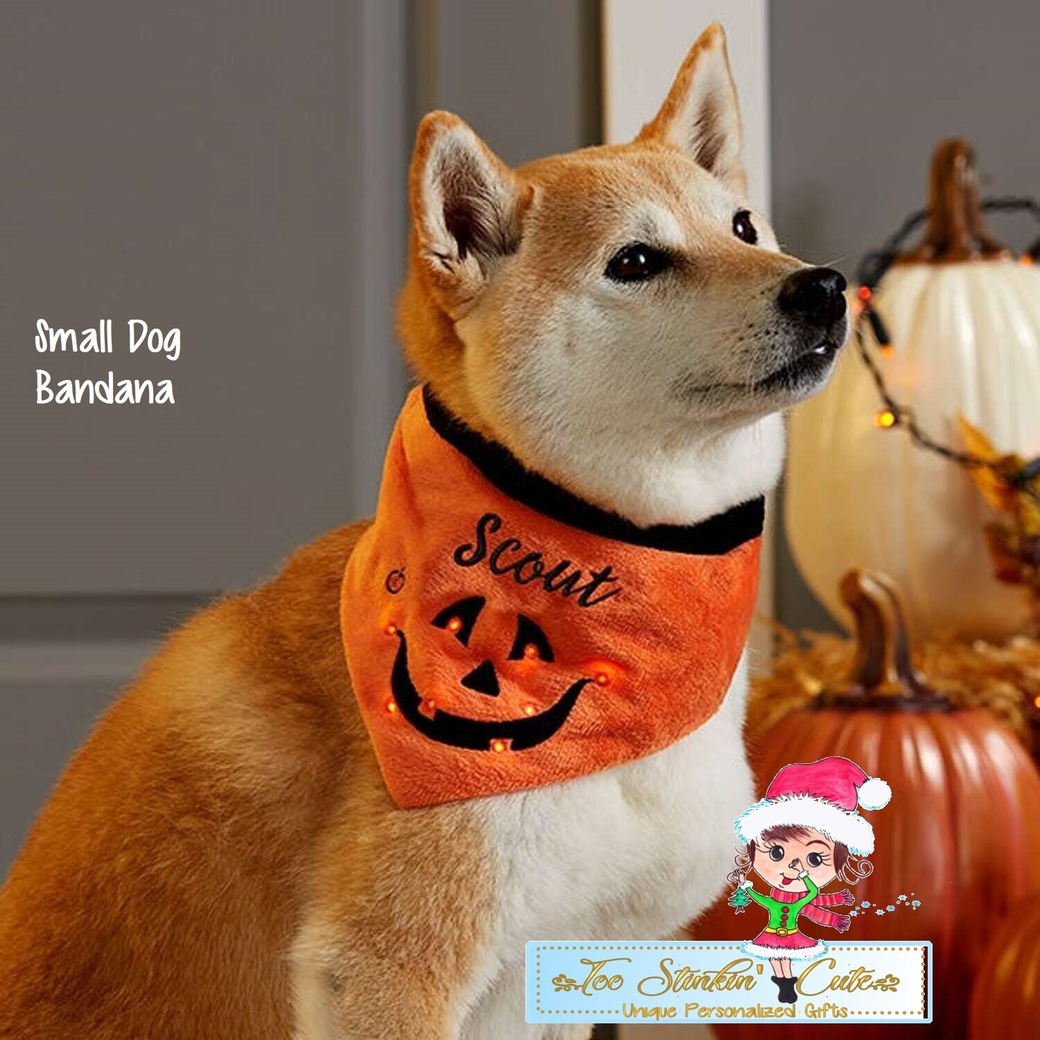 dog dressed up as pumpkin