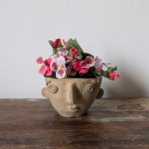 May include: A beige ceramic face-shaped plant pot with sculpted features, holding pink and red flowers and green foliage. The pot rests on a dark wooden surface. The pot's design includes eyes, a nose, and lips.