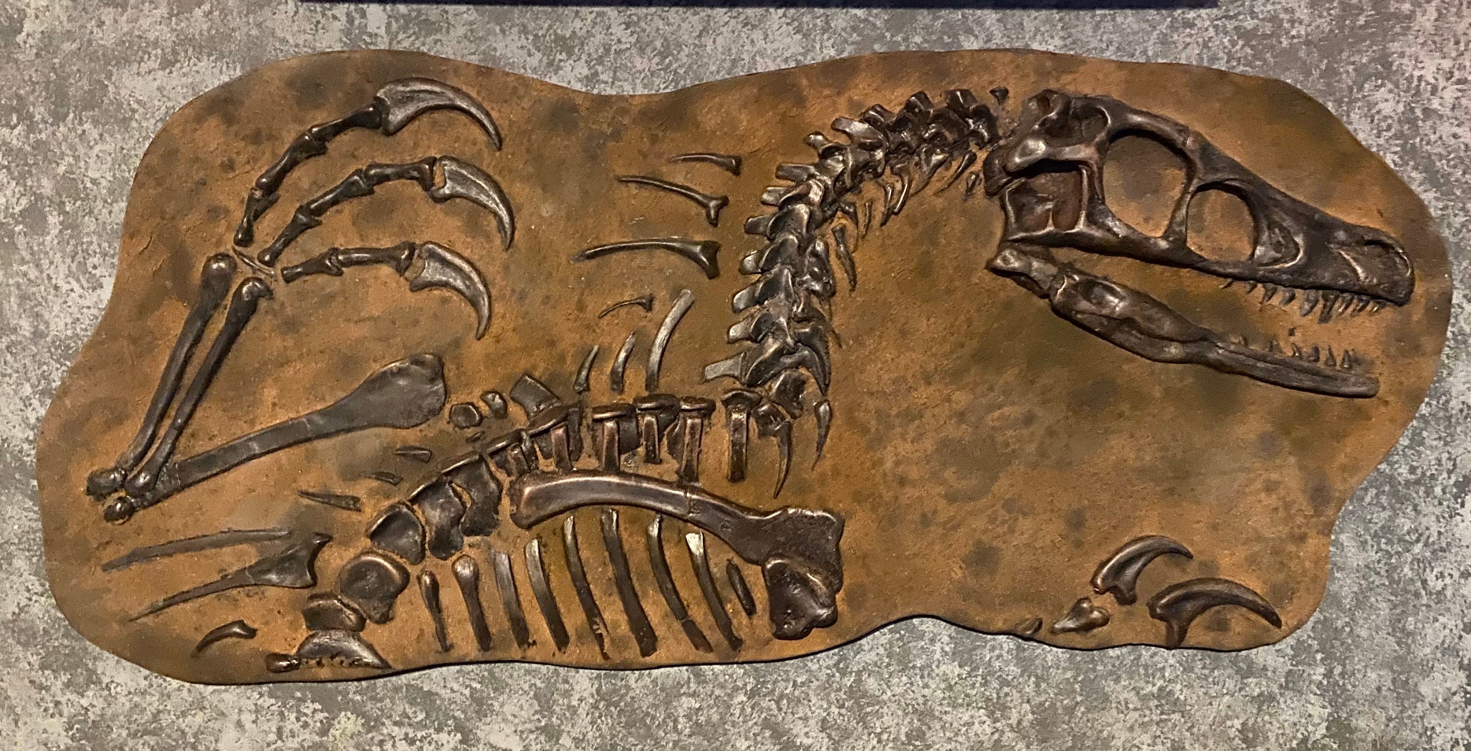 Dinosaur fossil Etsy