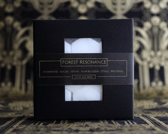 FOREST RESONANCE Scented Wax Melts - Hexagon Shapeless Flameless Melts - Juego de 8 - Sweet + Earthy