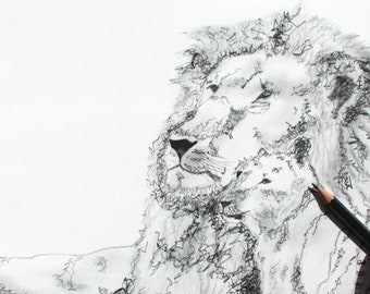 León con cachorro | Dibujo a lápiz | La presión del león | Cachorro de león | Dibujo de león en blanco y negro | Póster Lion Baby | Regalo Poster Lion Baby