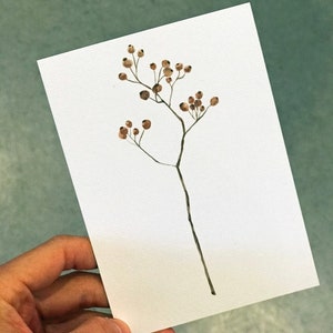 Postal de bayas de invierno | Tarjeta de cumpleaños botánicamente | Tarjeta de felicitación de Red Berries | Mapa A6 | Idea de regalo | Postal grabable | Baya de invierno