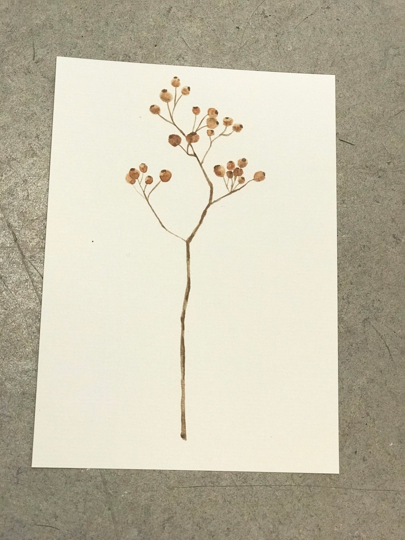 Winter Berry Postcard Postcard Writable Greeting Card Red Berries Birthday Card Botanical Gift Idea Map A6 Winter berry