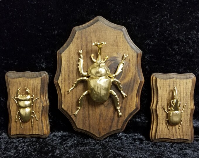 Gold Insect Art Wall Decor - Etsy