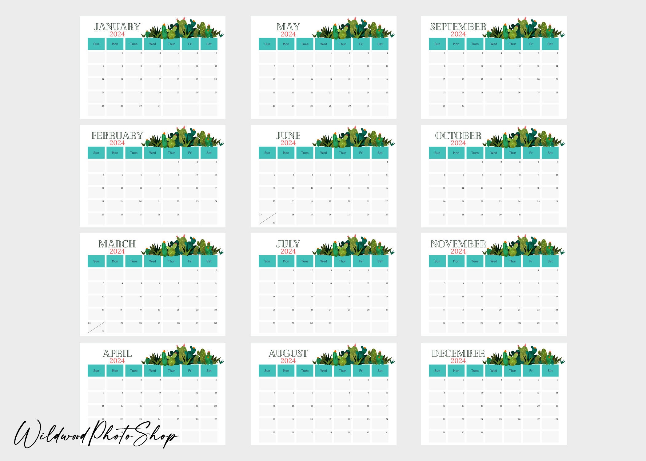 Cactus Printable 2024 Calendar, Printable Calendar, 2024 Calendar ...