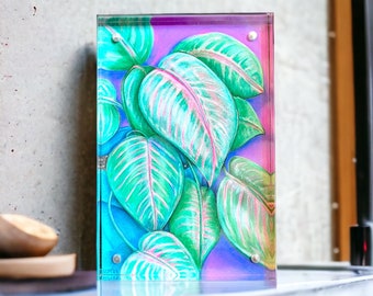 Aglaonema Plant illustration-original piece