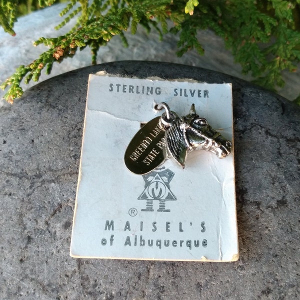 Horse Head Charm Sterling Silver 925, With Greenbo Lake State Park Tag Charm, By Maisel's Of Albuquerque, Bracelet Supply for Jewelry Making