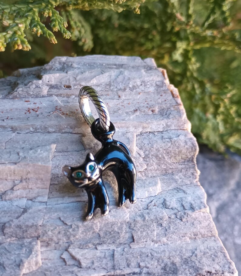 May include: A black cat charm with silver accents and green eyes. The cat is arched and has a silver ring at the top for hanging. The charm is set against a gray stone surface with green foliage in the background.